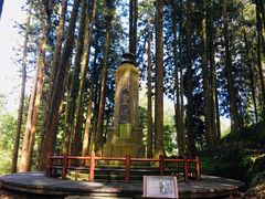 -阿里山神木遗迹