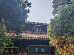 -洛阳白马寺