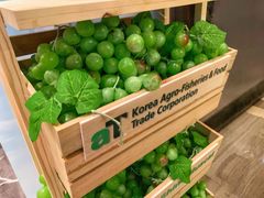 -香港尖沙咀凯悦酒店