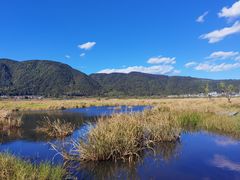 -腾冲北海湿地