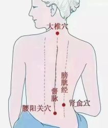 点击看大图 -香薇妮丝女子减肥院