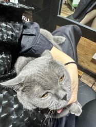 -青木造型HAIR·あおき髪を刈る潮人店