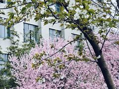 -东南大学(九龙湖校区)