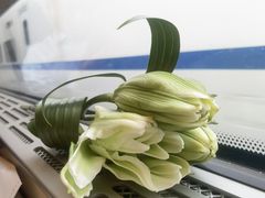 -四川大学(华西校区)