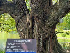 -晓港公园