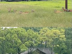 -良渚古城遗址公园