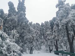 -南岳衡山风景名胜区