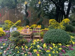 -南山植物园