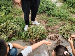 点击看大图 -前小桔亲子创意农场·草莓采摘·露营烧烤