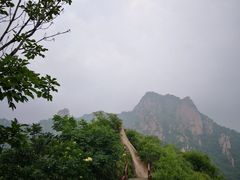 -大岭沟猕猴桃谷风景区