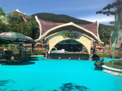 -苏州乐园森林水世界