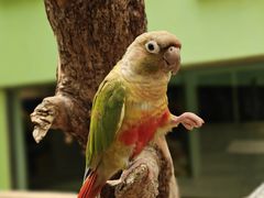 -北京野生动物园