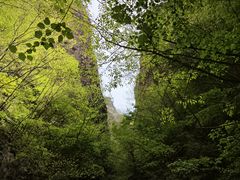 -野三坡百里峡景区
