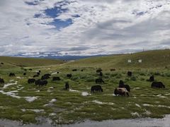 -柳之缘柳州螺蛳粉(汇品坊美食城店)