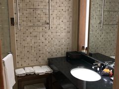 -九华山聚龙大酒店