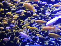 -成都浩海立方海洋公园