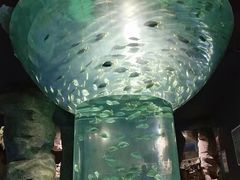 -北海·海洋之窗