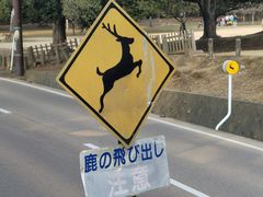 -奈良公园
