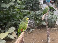 -南宫五洲植物乐园