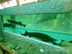 -年辉渔村·非遗传承餐厅(新丰江店)