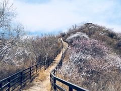 -大岭沟猕猴桃谷风景区