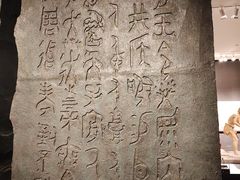 -扁鹊湖阿尔卡迪亚国际度假酒店