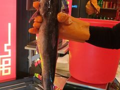 -江湖水乡铁锅炖魚(周庄嘉园店)