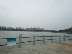 -风云岭森林公园