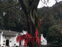 -三国赤壁古战场