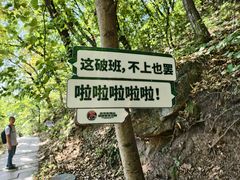 -吉林市朱雀山国家森林公园