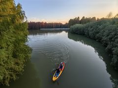 -上海海湾国家森林公园