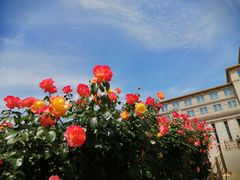 -军事博物馆(地铁站)