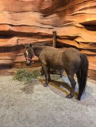 -酷嗒动物文化乐园(cutezoo西溪乐天城店)