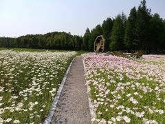 -同里国家湿地公园