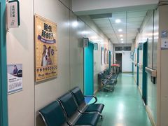 -北京观赏动物医院·24小时大型综合·猫专科·异宠专科