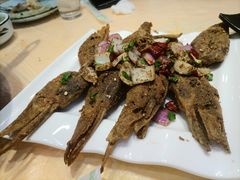 -怪怪龙虾·澳洲蓝龙王·深夜食堂(惊驾路店)