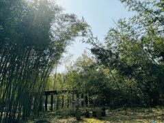 -安吉竹博园