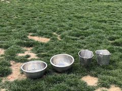 -趣玩宠物乐园寄养训犬训狗游泳池