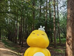 -日照海滨国家森林公园