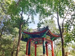 -宣武艺园