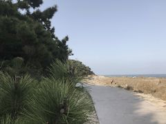 -青岛银沙滩