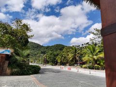 -海南槟榔谷黎苗文化旅游区
