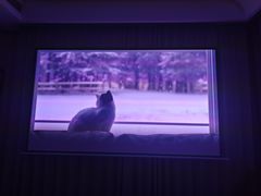 -JMGO坚果投影(长宁龙之梦店)