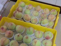 -老袁家蜜桃农场·阳山水蜜桃