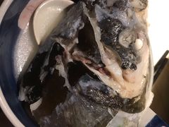 -秀水人家