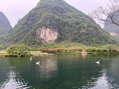 -靖西鹅泉风景区