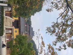 -汤山公园