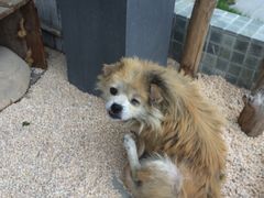 -外婆船宴餐厅·外婆喊你回家吃饭