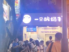 -一只酸奶牛(八一路店)