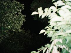 -柯达真美(老重庆中路店)